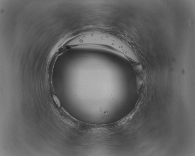 X0000077320150200611101507