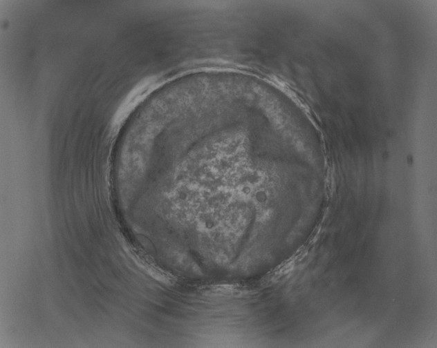 X0000077320151200611101507