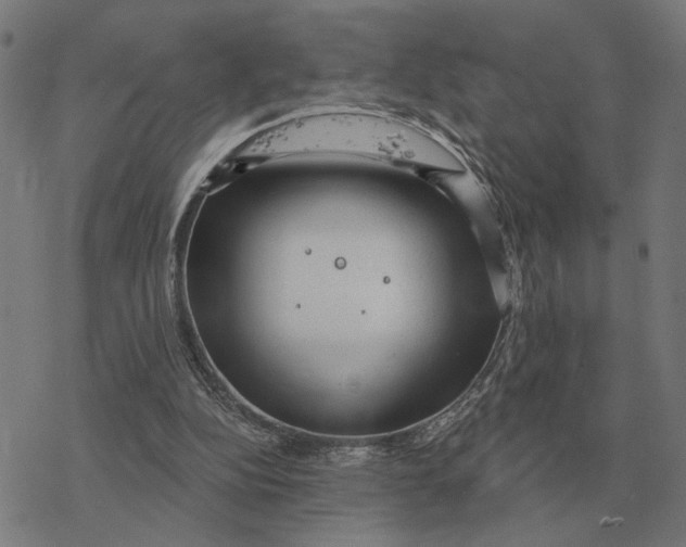 X0000077320152200611101507