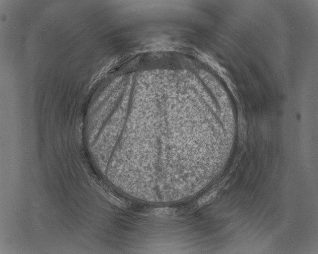 X0000077320153200611101507