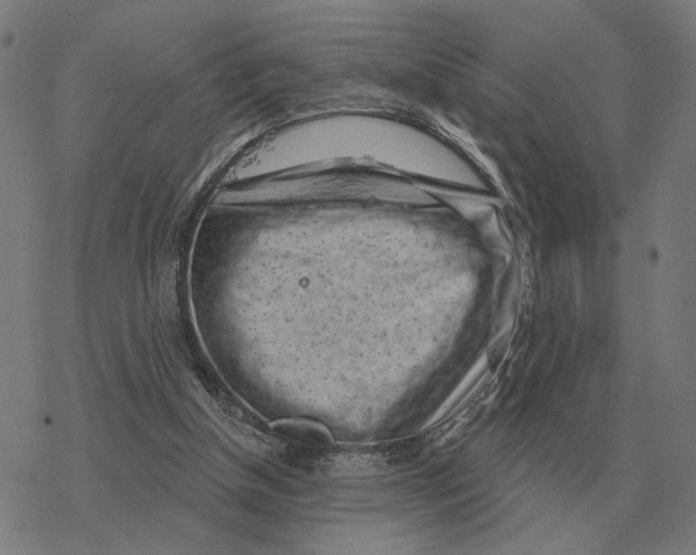 X0000077320154200611101507