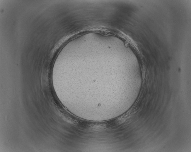 X0000077320155200611101507