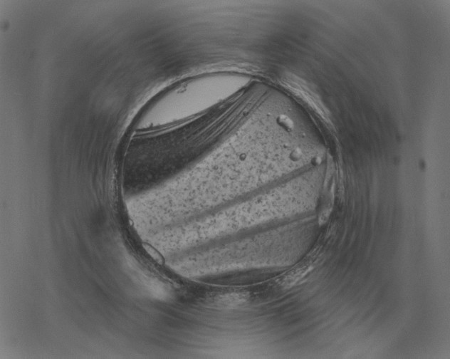 X0000077320156200611101507