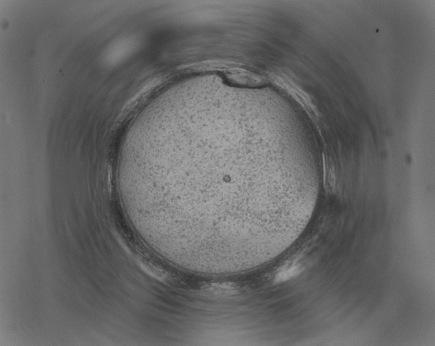 X0000077320157200611101507