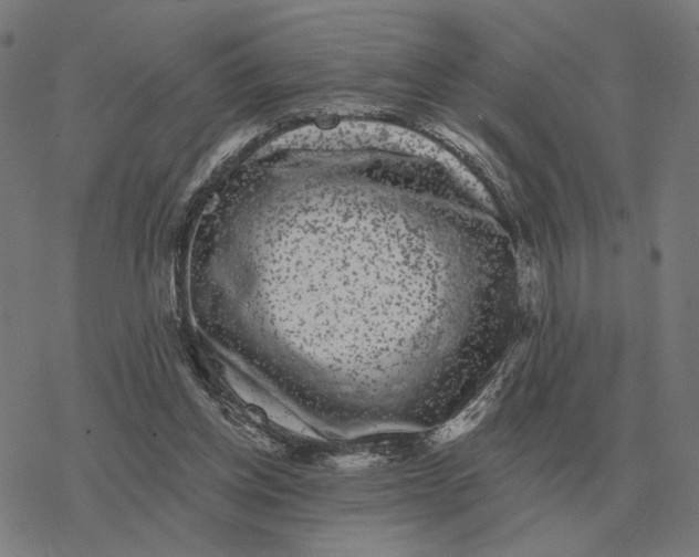 X0000077320158200611101507