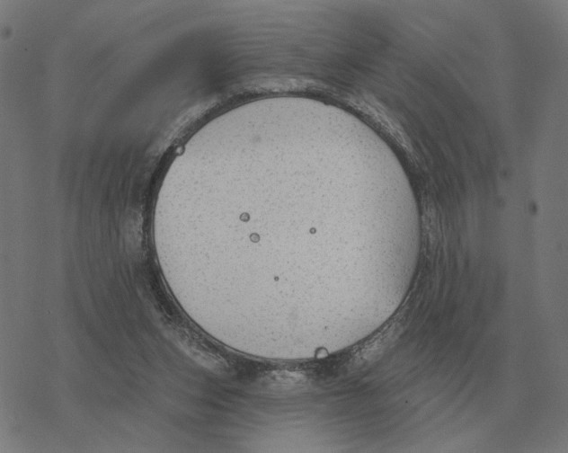 X0000077320159200611101507