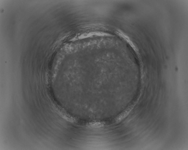 X0000077320161200611101507