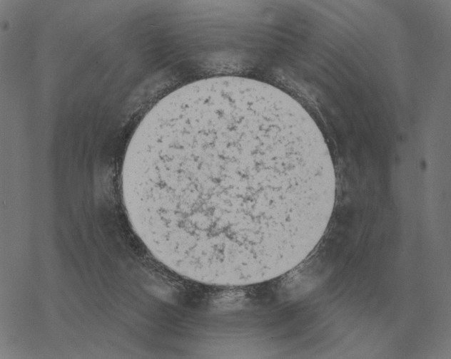 X0000077320162200611101507