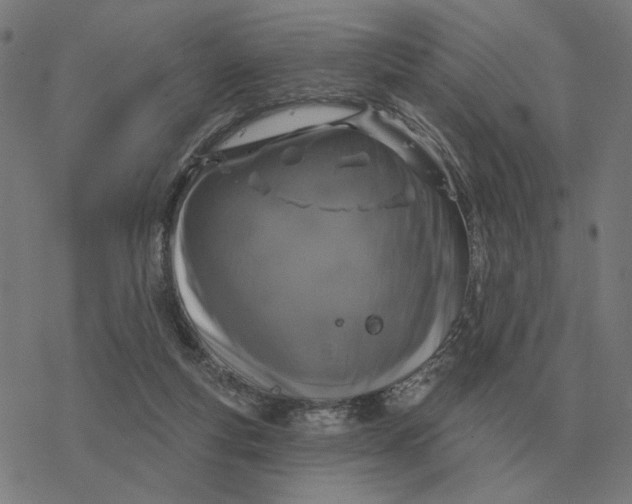 X0000077320163200611101507