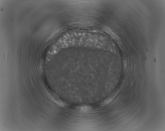 X0000077320165200611101507