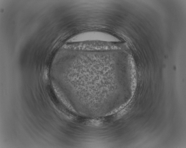 X0000077320166200611101507