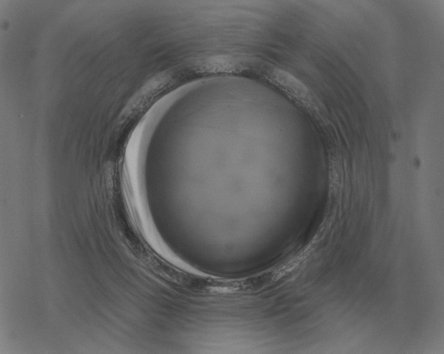 X0000077320167200611101507