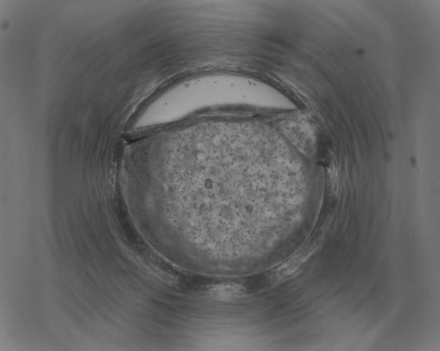 X0000077320168200611101507