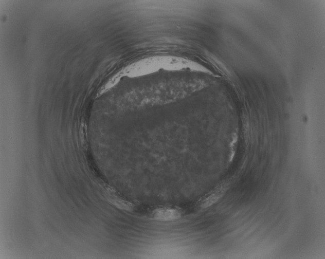 X0000077320169200611101507