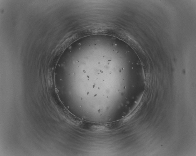 X0000077320170200611101507