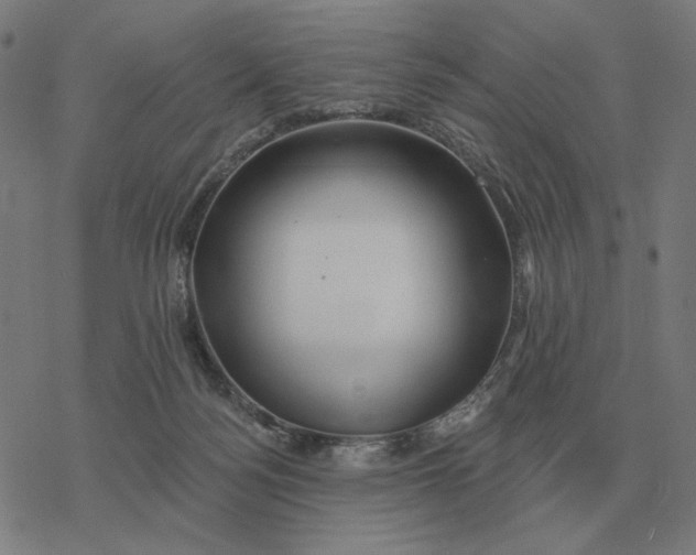 X0000077320172200611101507