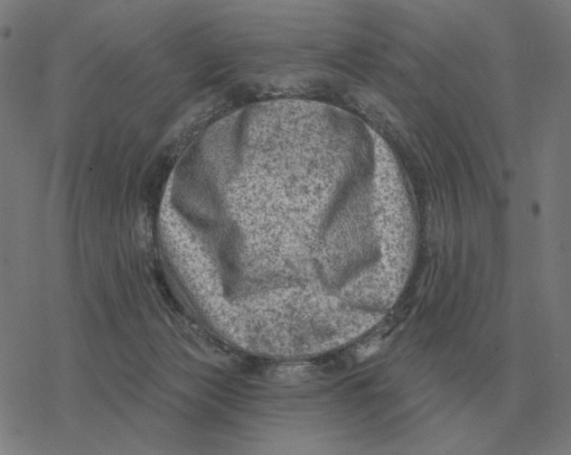 X0000077320173200611101507