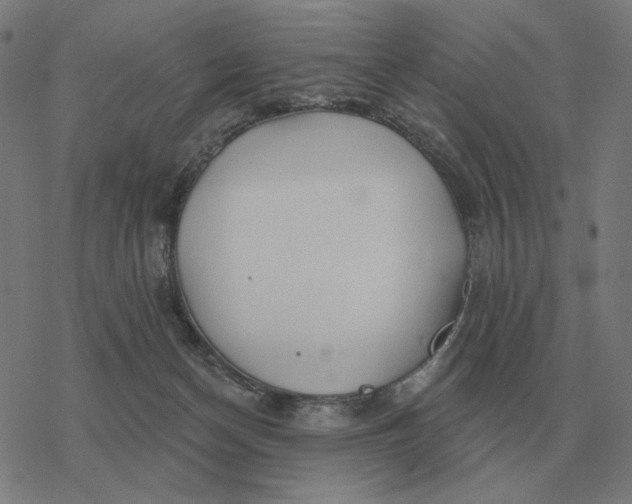 X0000077320174200611101507