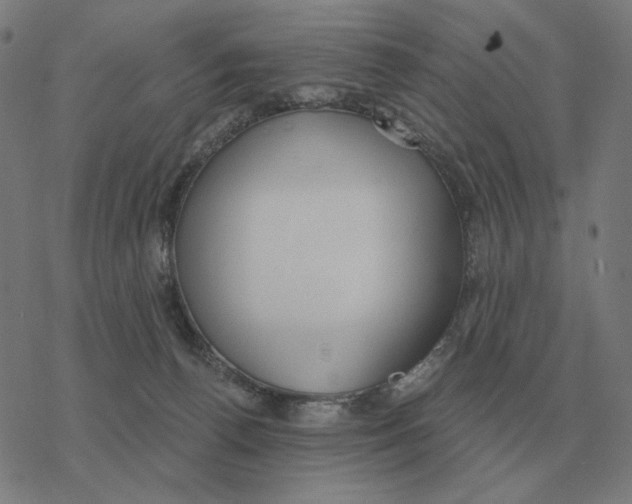 X0000077320176200611101507