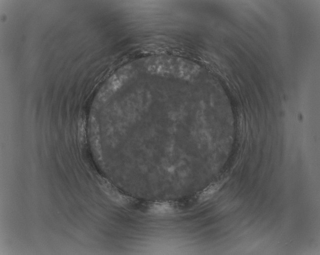 X0000077320177200611101507