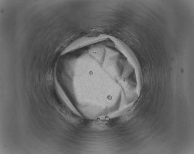 X0000077320179200611101507