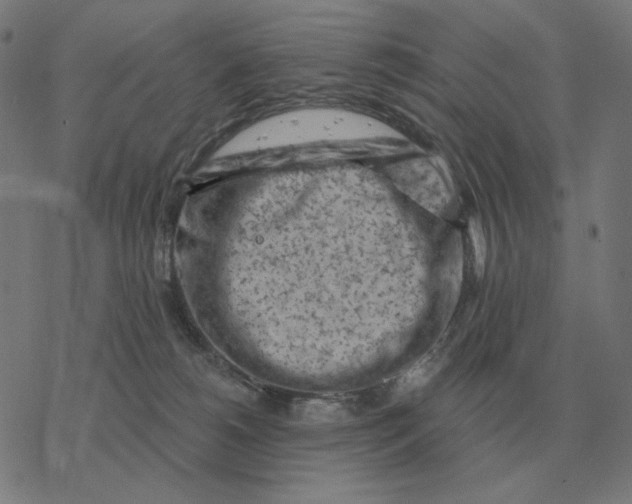 X0000077320180200611101507