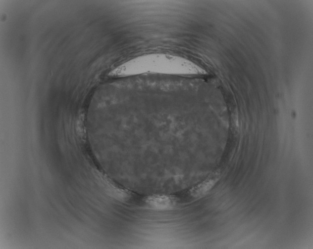 X0000077320181200611101507