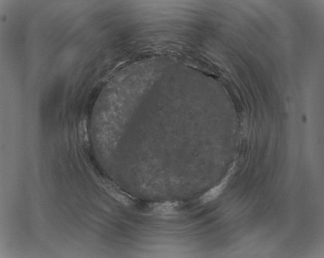 X0000077320182200611101507