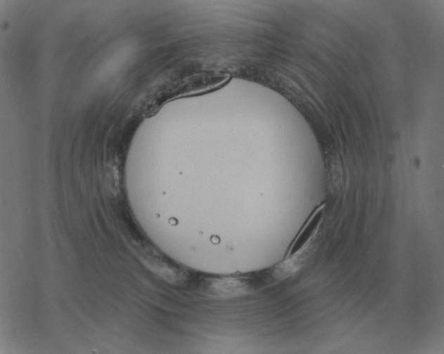 X0000077320183200611101507