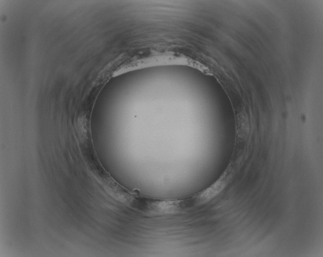 X0000077320184200611101507