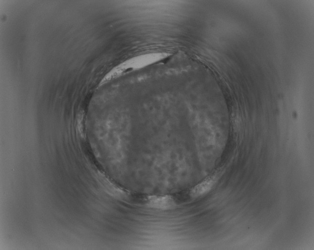 X0000077320185200611101507