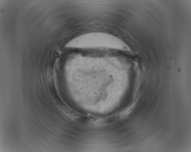 X0000077320186200611101507