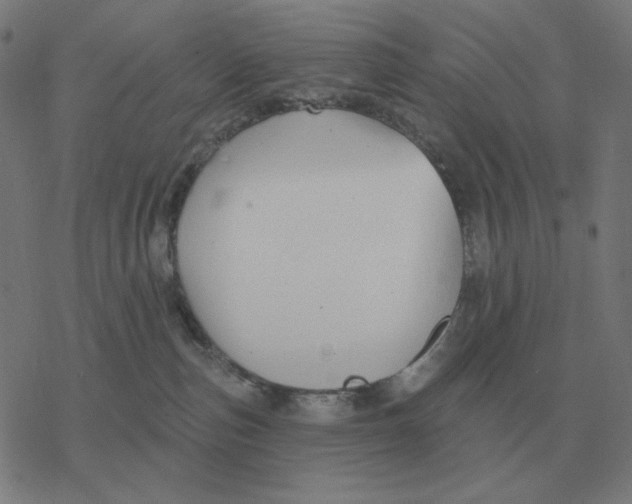 X0000077320187200611101507