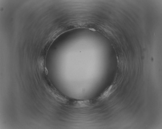 X0000077320188200611101507