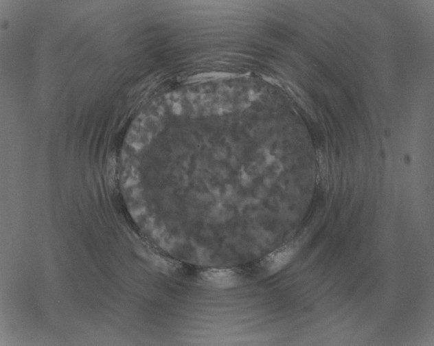 X0000077320189200611101507