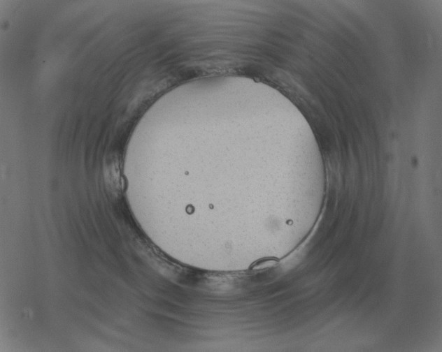 X0000077320190200611101507