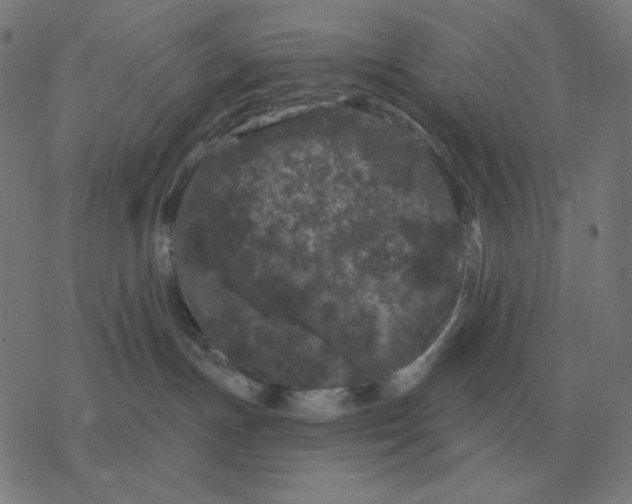 X0000077320191200611101507