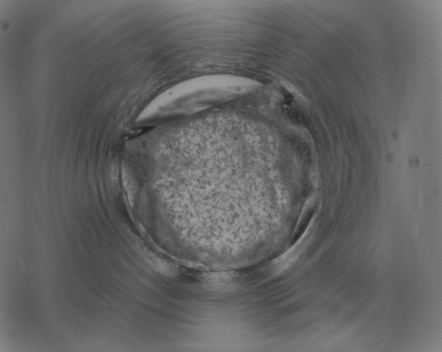 X0000077320192200611101507