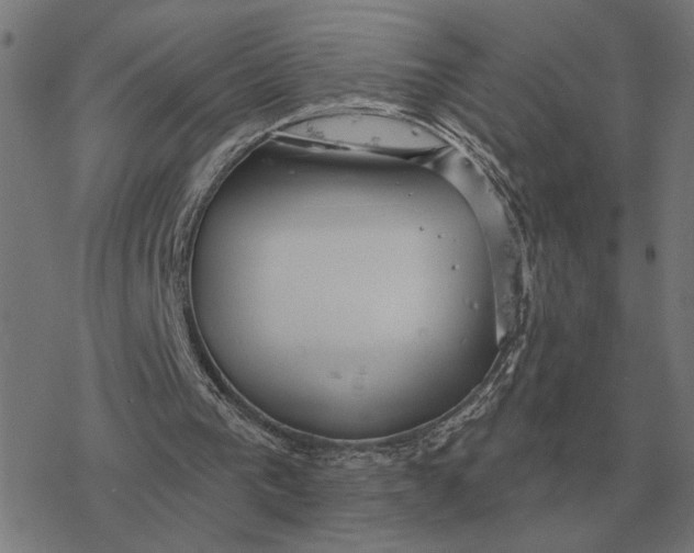 X0000077320193200611101506