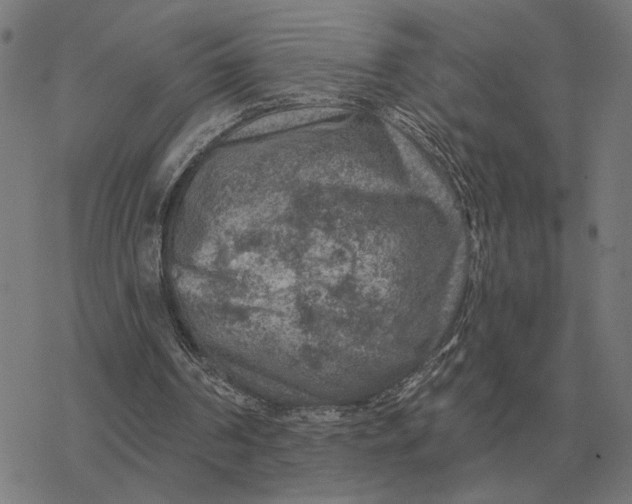 X0000077320194200611101506