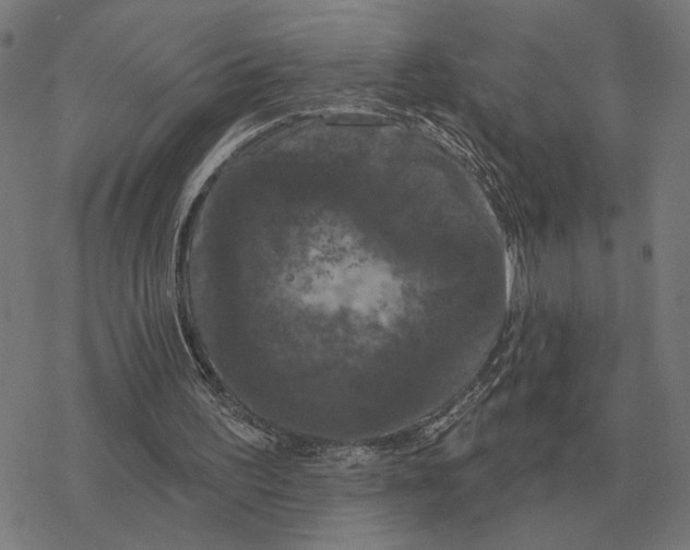 X0000077320195200611101506