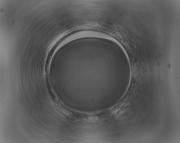 X0000077320196200611101506