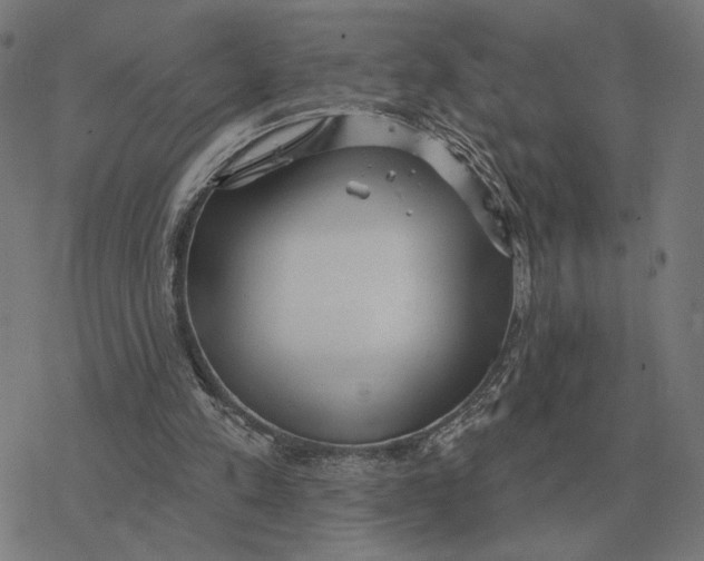 X0000077320197200611101506