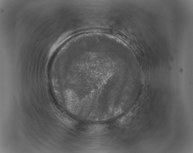 X0000077320198200611101506