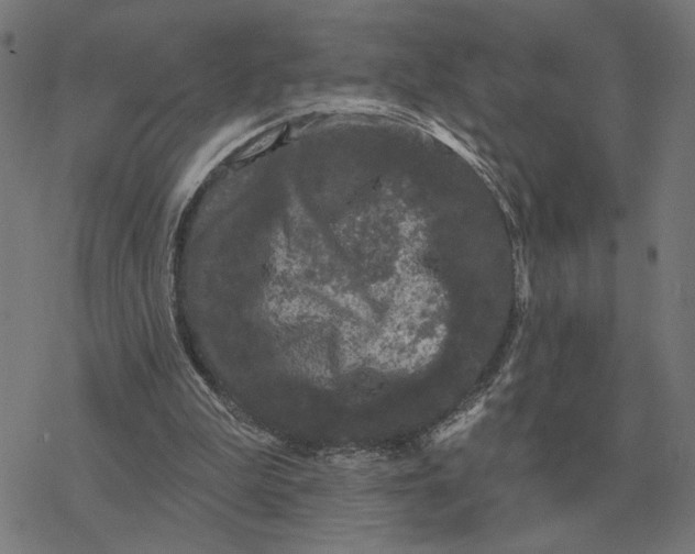 X0000077320199200611101506