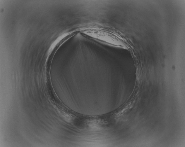 X0000077320200200611101506