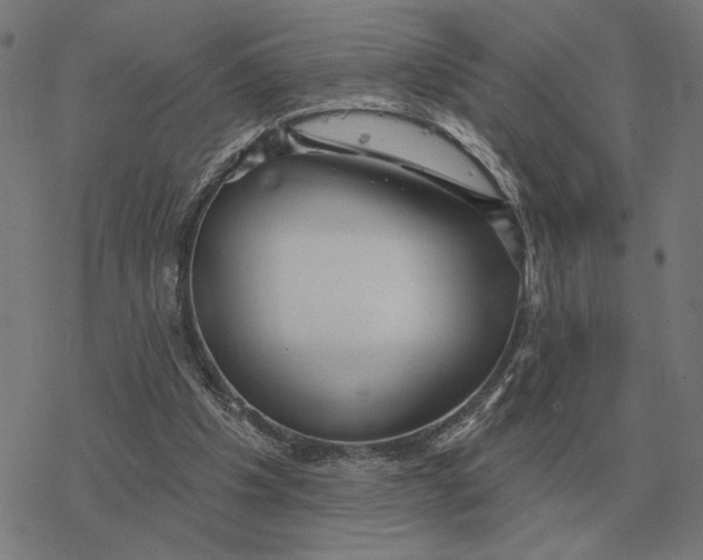 X0000077320201200611101506