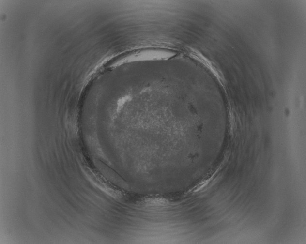 X0000077320203200611101506