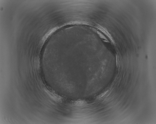 X0000077320204200611101506