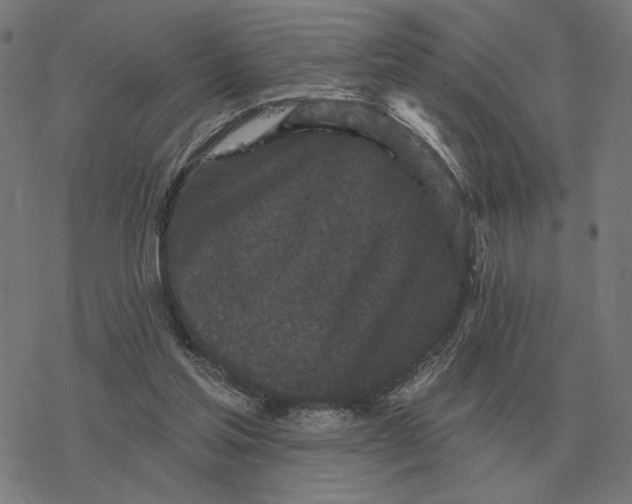 X0000077320205200611101506